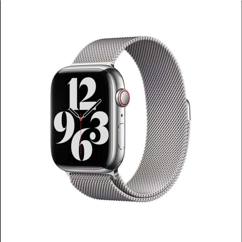 Apple Watch Stainless Steel Band